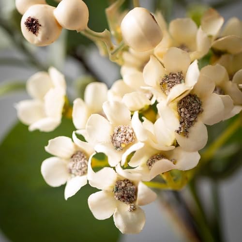 The Bridge Collection Waxflower Eucalyptus Wreath