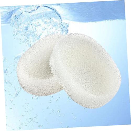 Healifty 4Pcs Draining Sponge Soap Dishes