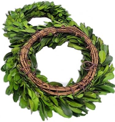 Mini Wreath 6 Preserved Boxwood Decor