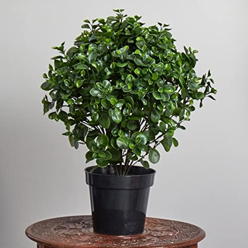 Nearly Natural 28in Peperomia Plant UV Resistant 1