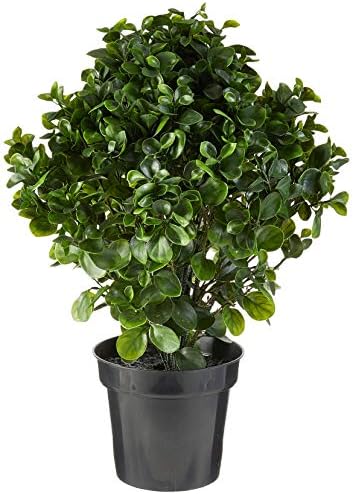 Nearly Natural 28in Peperomia Plant UV Resistant 1