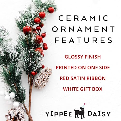 Yippee Daisy Grandson Christmas Ornament 2024