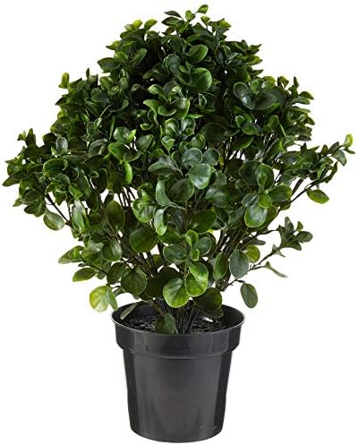 Nearly Natural 28in Peperomia Plant UV Resistant 1