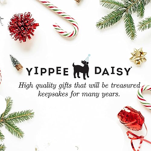 Yippee Daisy Grandson Christmas Ornament 2024