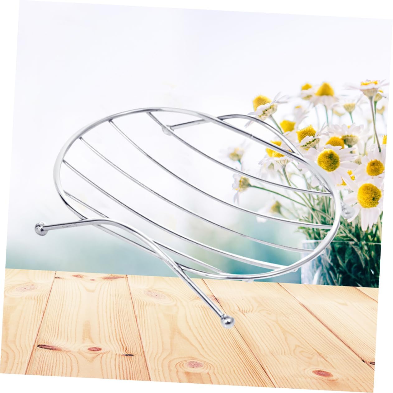 Holidoyo Stainless Steel Soap Holder Wall Mount