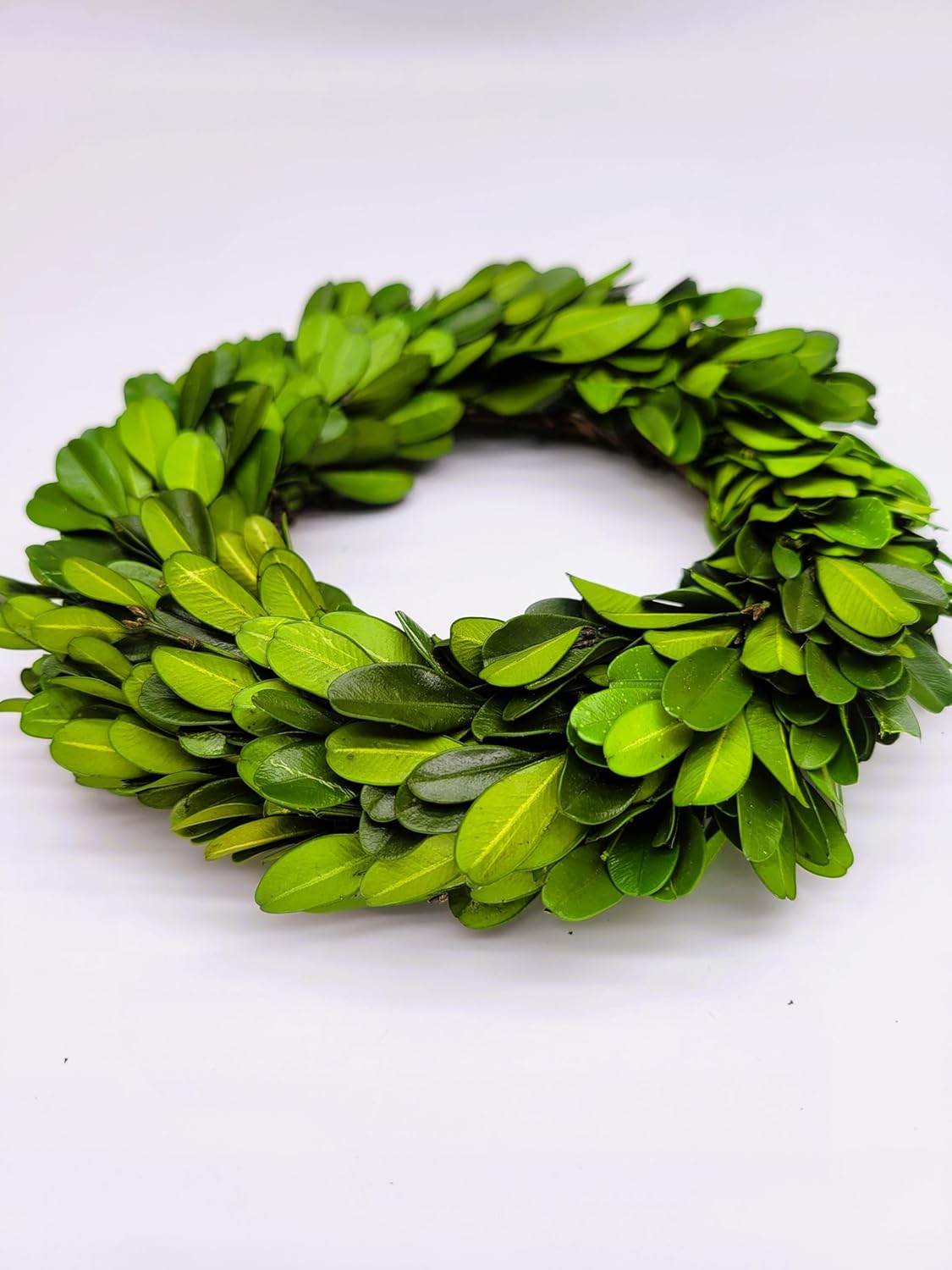 Mini Wreath 6 Preserved Boxwood Decor