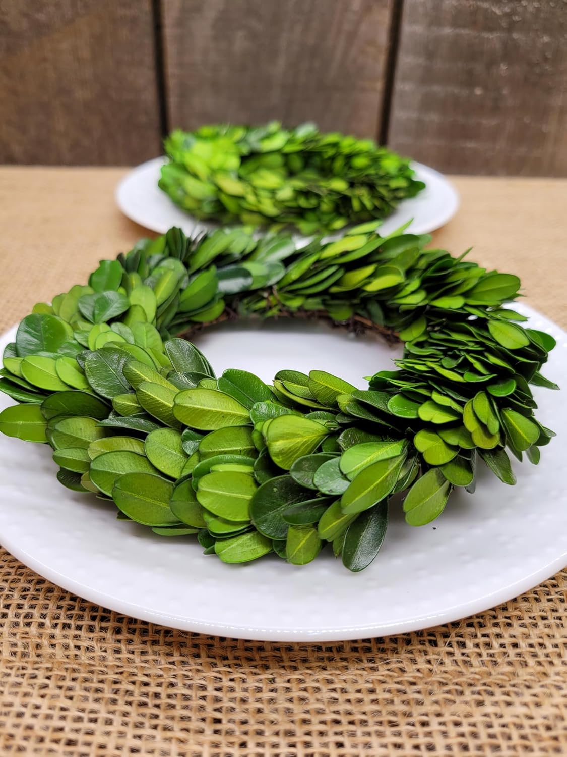 Mini Wreath 6 Preserved Boxwood Decor
