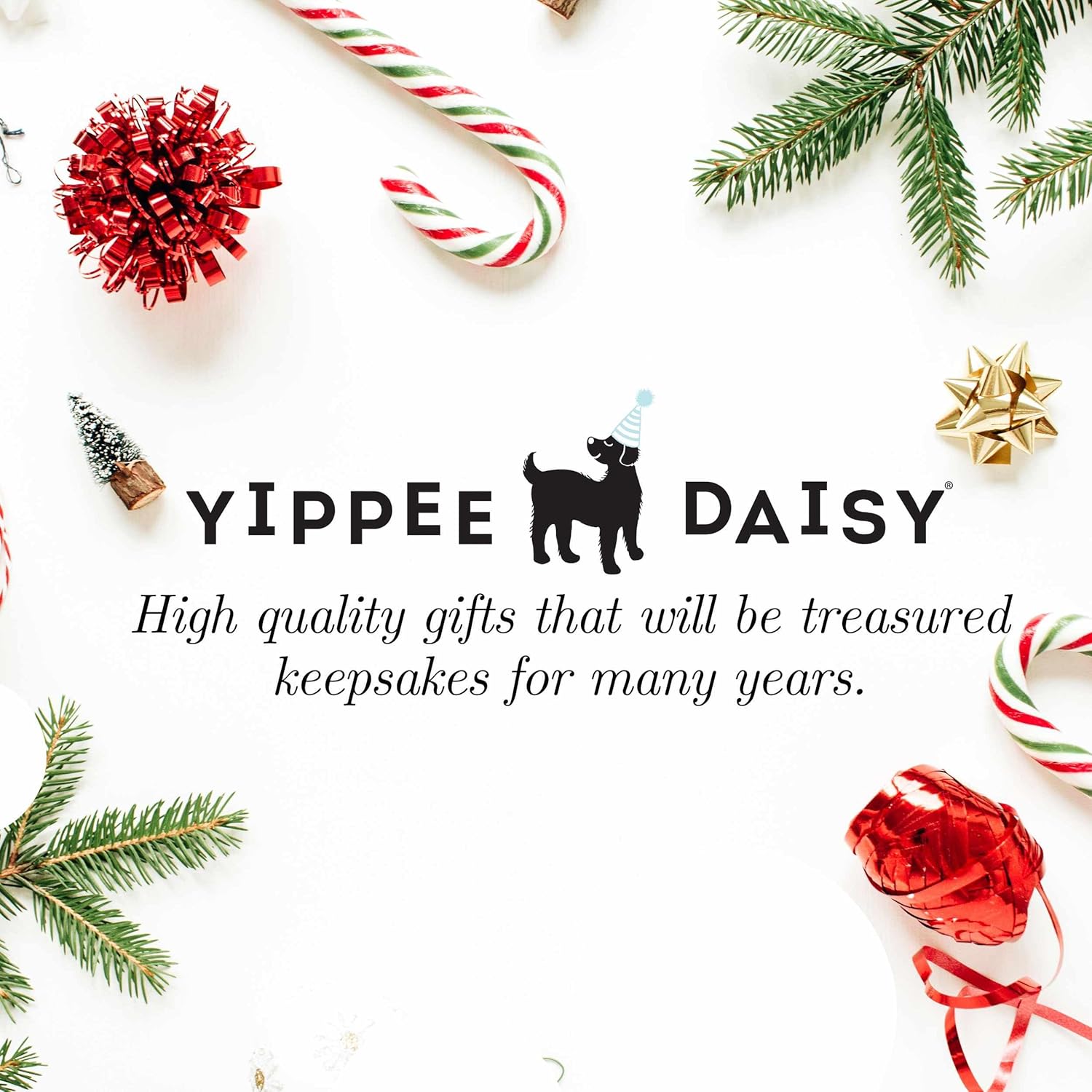 Yippee Daisy Grandson Christmas Ornament 2024