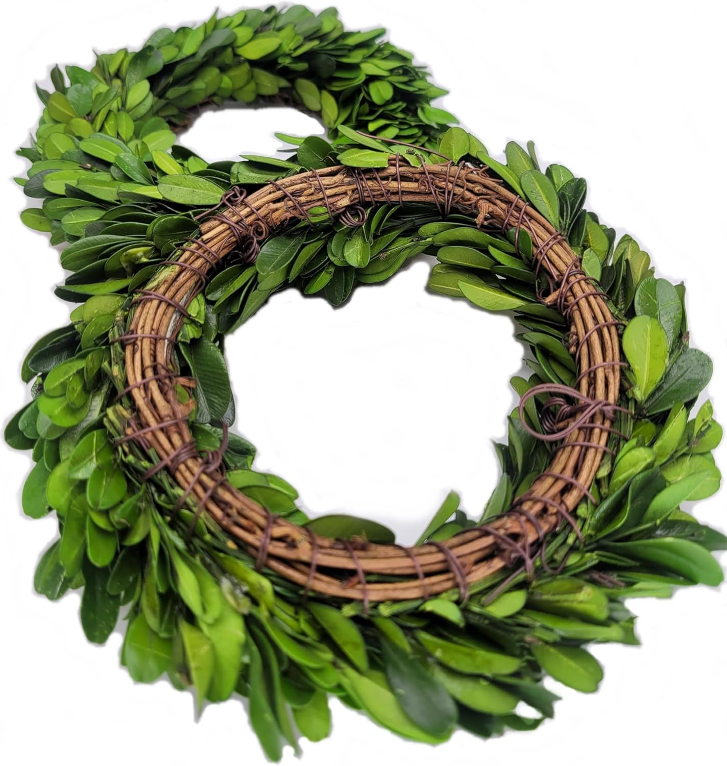 Mini Wreath 6 Preserved Boxwood Decor